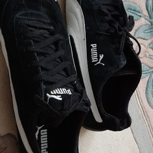Black pumas